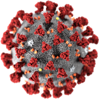 Esta imagen tiene un atributo ALT vacío; su nombre de archivo es Coronavirus.png
